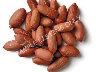 Raw Angola Groundnuts