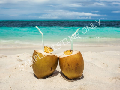 Fresh South Africa Coconut