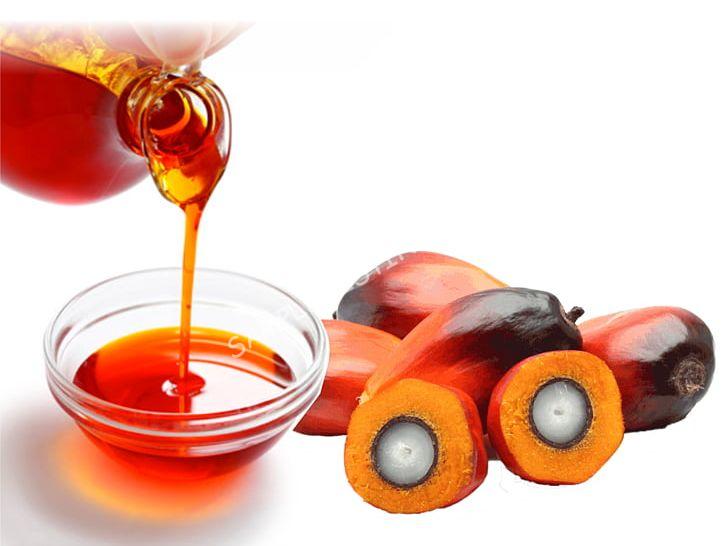 Pure Angola Palm Oil