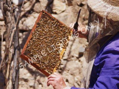 Pure South Africa Honey